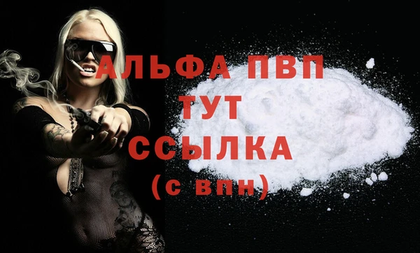ГАЛЛЮЦИНОГЕННЫЕ ГРИБЫ Белокуриха
