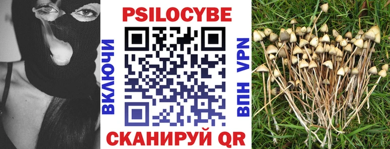 Галлюциногенные грибы MAGIC MUSHROOMS Болотное